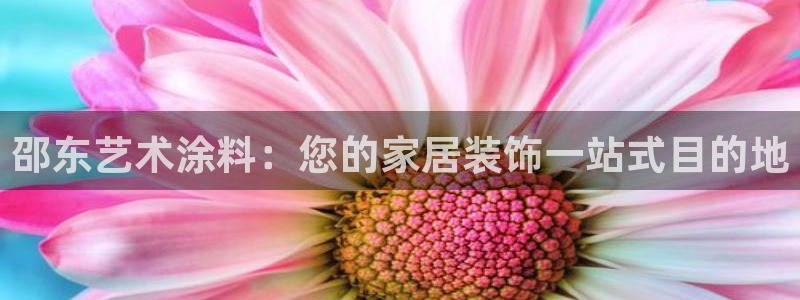和记H88：邵东艺术涂料：您的家居装饰一站式目的地