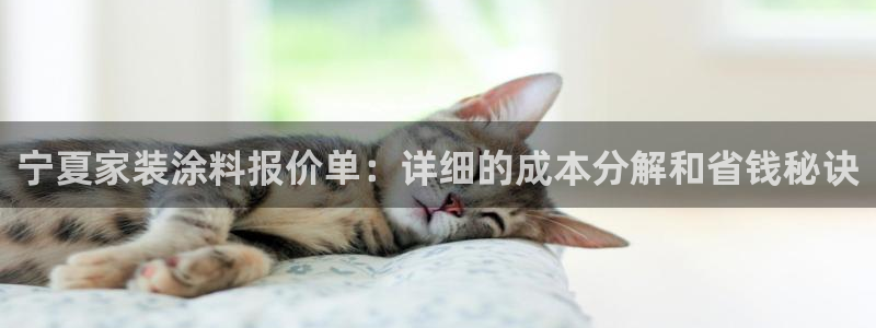 和记平台官方网：宁夏家装涂料报价单：详细的成本分解和省钱秘诀