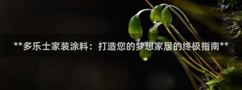 ag和记app：**多乐士家装涂料：打造您的梦想家居的终极指南**
