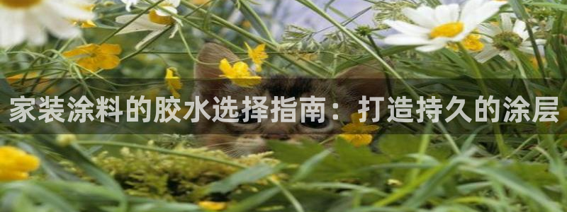 和记app官网