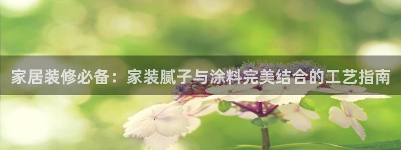深圳和记科技有限公司：家居装修必备：家装腻子与涂料完美结合的工艺指南