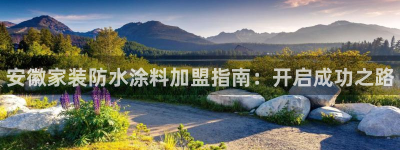 ag和记app：安徽家装防水涂料加盟指南：开启成功之路