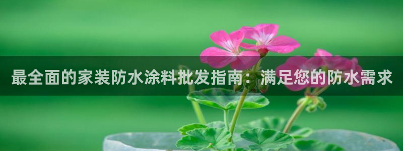 和记平台：最全面的家装防水涂料批发指南：满足您的防水需求