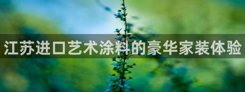 和记国际开户：江苏进口艺术涂料的豪华家装体验