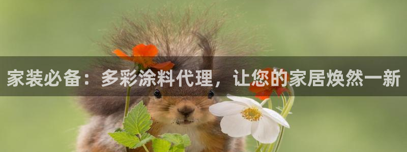 和记官方网站：家装必备：多彩涂料代理，让您的家居焕然一新