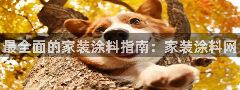 和记AG旗舰：最全面的家装涂料指南：家装涂料网