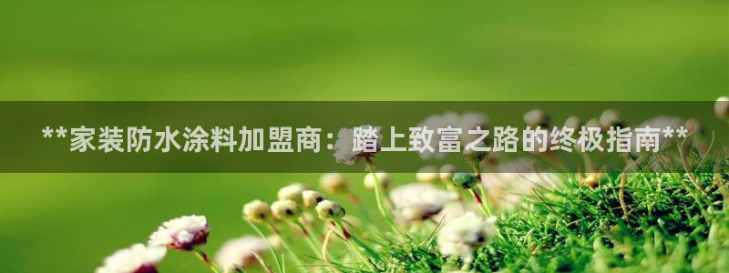 官方和记国际平台登录：**家装防水涂料加盟商：踏上致富之路的终极指南**
