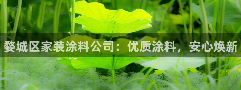 和记paging：婺城区家装涂料公司：优质涂料，安心焕新