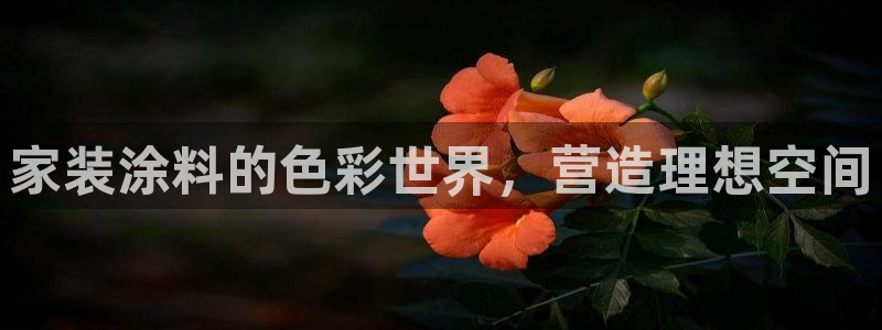 和记h188：家装涂料的色彩世界，营造理想空间