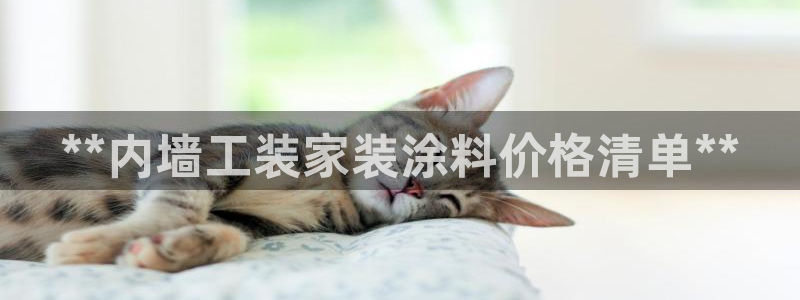和记官方：**内墙工装家装涂料价格清单**