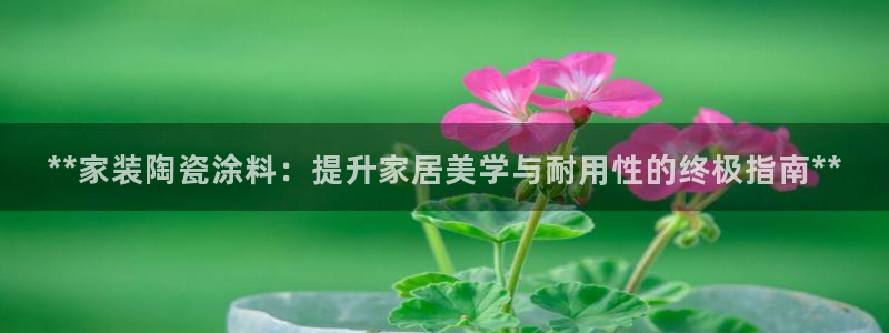 和记最新官方网址：**家装陶瓷涂料：提升家居美学与耐用性的终极指南**