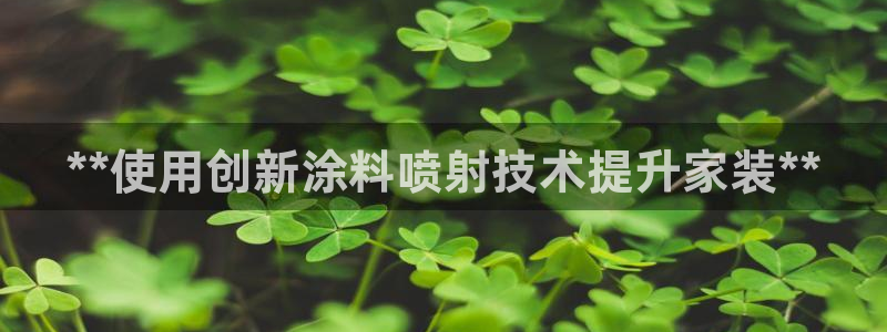和记国际电讯市值：**使用创新涂料喷射技术提升家装**
