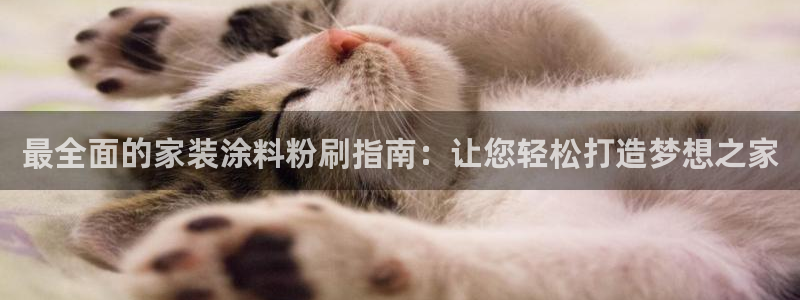 和记AG网站：最全面的家装涂料粉刷指南：让您轻松打造梦想之家