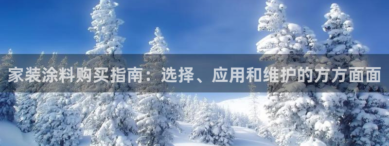 上海和记餐饮有限公司：家装涂料购买指南：选择、应用和维护的方方面面