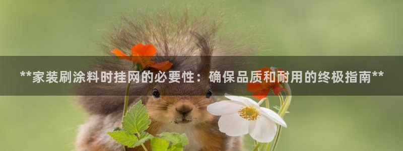 和记ag网址：**家装刷涂料时挂网的必要性：确保品质和耐用的终极指南**