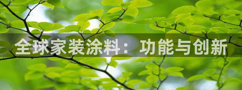 和记Ag：全球家装涂料：功能与创新