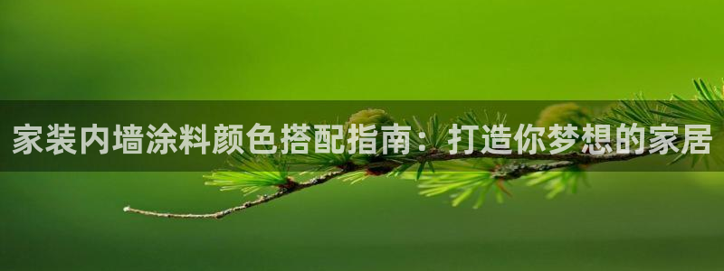 和记 官网：家装内墙涂料颜色搭配指南：打造你梦想的家居