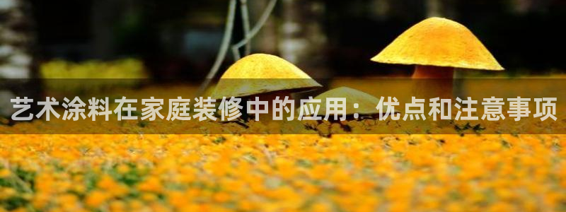 和记电业集团：艺术涂料在家庭装修中的应用：优点和注意事项