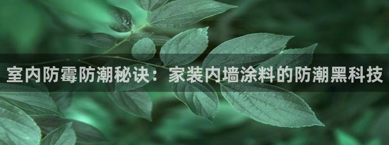 和记官方直营：室内防霉防潮秘诀：家装内墙涂料的防潮黑科技