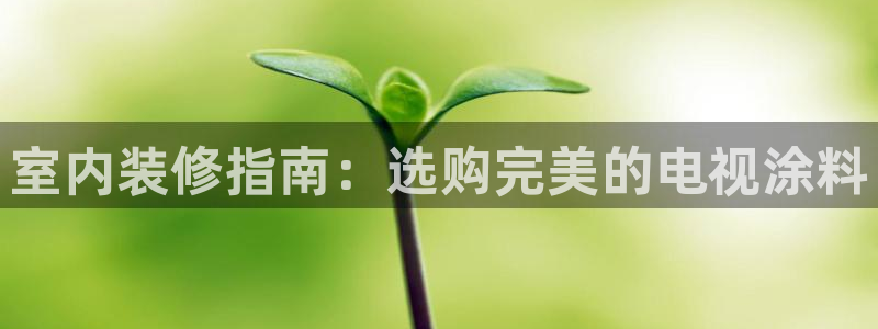 和记ag捕鱼害死多少人：室内装修指南：选购完美的电视涂料