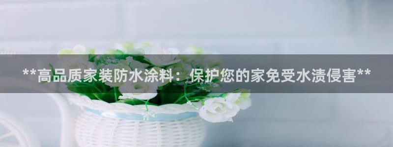 和记娱好网址：**高品质家装防水涂料：保护您的家免受水渍侵害**