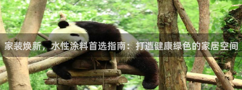 和记官网 公司：家装焕新，水性涂料首选指南：打造健康绿色的家居空间