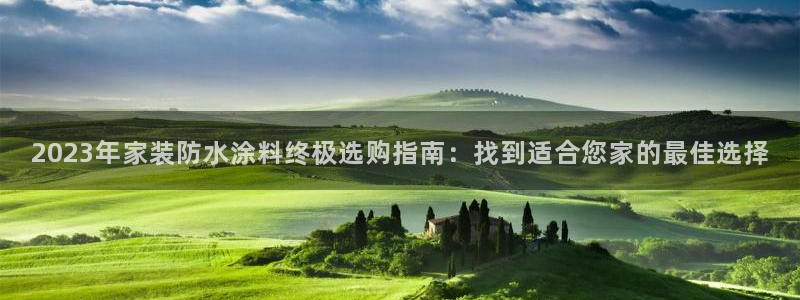 和记国际开户：2023年家装防水涂料终极选购指南：找到适合您家的最佳选择