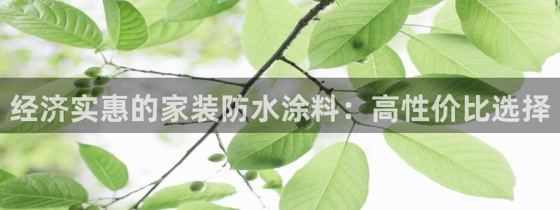 和记ag：经济实惠的家装防水涂料：高性价比选择