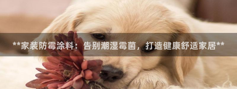 和记网页版登陆：**家装防霉涂料：告别潮湿霉菌，打造健康舒适家居**