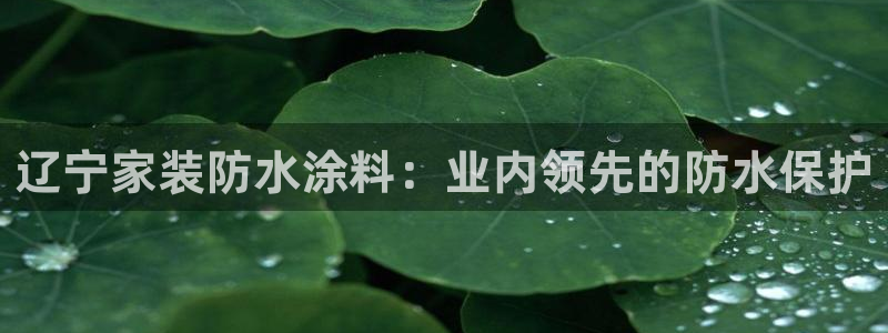 和记官方网址：辽宁家装防水涂料：业内领先的防水保护