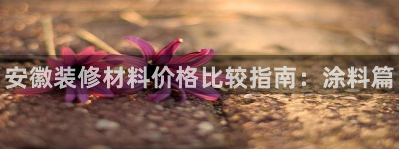 和记官网 公司：安徽装修材料价格比较指南：涂料篇