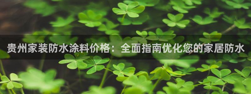 和记国际官网官网：贵州家装防水涂料价格：全面指南优化您的家居防水