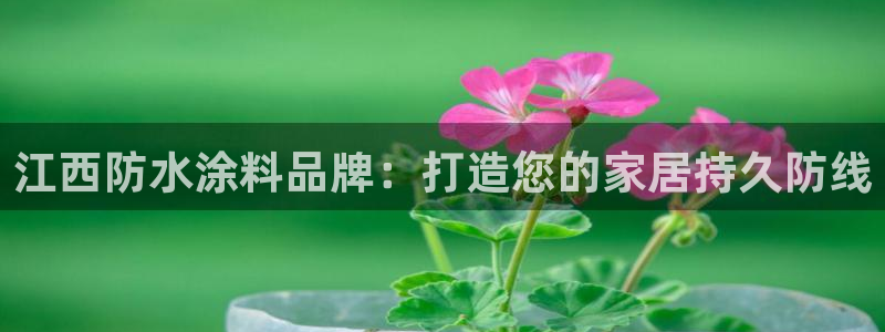 和记平台登陆：江西防水涂料品牌：打造您的家居持久防线