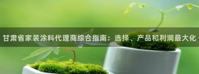 和记平台登陆：甘肃省家装涂料代理商综合指南：选择、产品和利润最大化