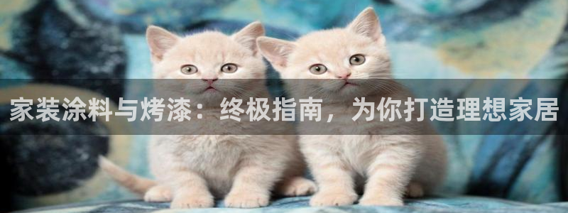 和记平台下载：家装涂料与烤漆：终极指南，为你打造理想家居