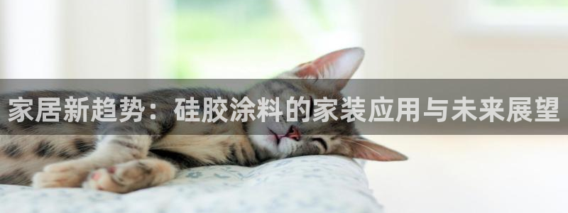 和记官网：家居新趋势：硅胶涂料的家装应用与未来展望