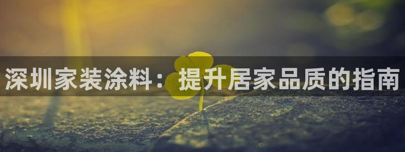 和记国际官网官网：深圳家装涂料：提升居家品质的指南