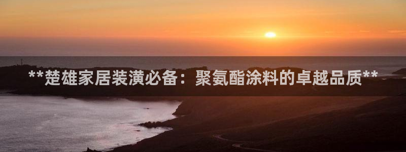 青岛大生和记餐饮管理有限公司：**楚雄家居装潢必备：聚氨酯涂料的卓越品质**