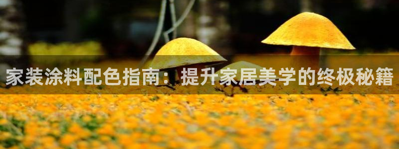 和记(福建)商贸有限公司招聘：家装涂料配色指南：提升家居美学的终极秘籍