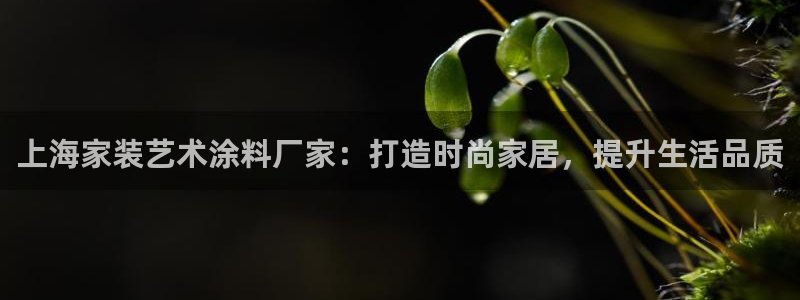 和记官方直营注册导航：上海家装艺术涂料厂家：打造时尚家居，提升生活品质