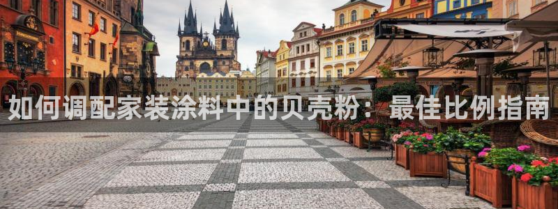 和记港口：如何调配家装涂料中的贝壳粉：最佳比例指南