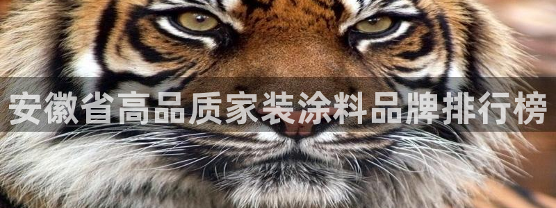 和记网页版：安徽省高品质家装涂料品牌排行榜
