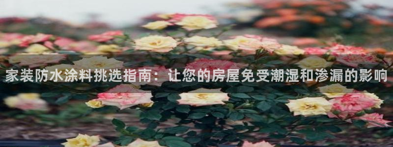 官方和记国际平台登录：家装防水涂料挑选指南：让您的房屋免受潮湿和渗漏的影响