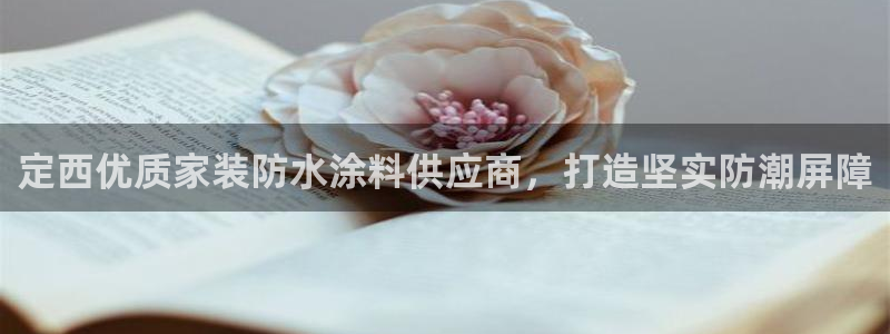 和记平台官网：定西优质家装防水涂料供应商，打造坚实防潮屏障