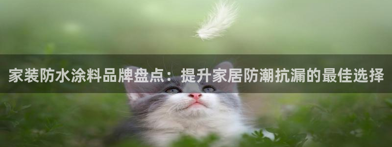 下载和记app：家装防水涂料品牌盘点：提升家居防潮抗漏的最佳选择