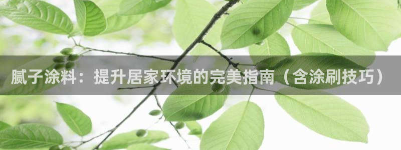 和记pc：腻子涂料：提升居家环境的完美指南（含涂刷技巧）