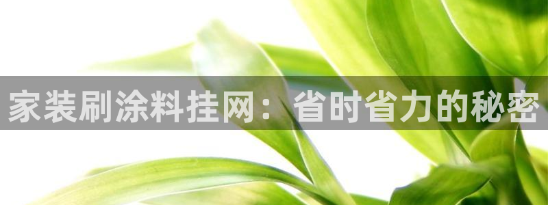 和记app官网：家装刷涂料挂网：省时省力的秘密