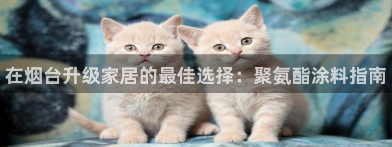 和记国际听：在烟台升级家居的最佳选择：聚氨酯涂料指南