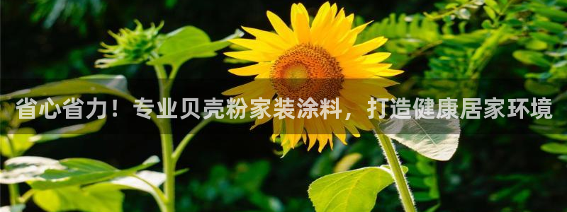 和记(福建)商贸有限公司招聘：省心省力！专业贝壳粉家装涂料，打造健康居家环境