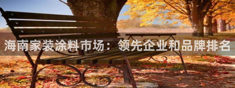 和记官网登录：海南家装涂料市场：领先企业和品牌排名
